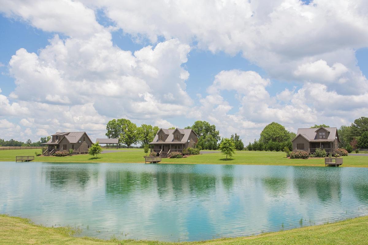 Rental cabins on the edge of a lake.