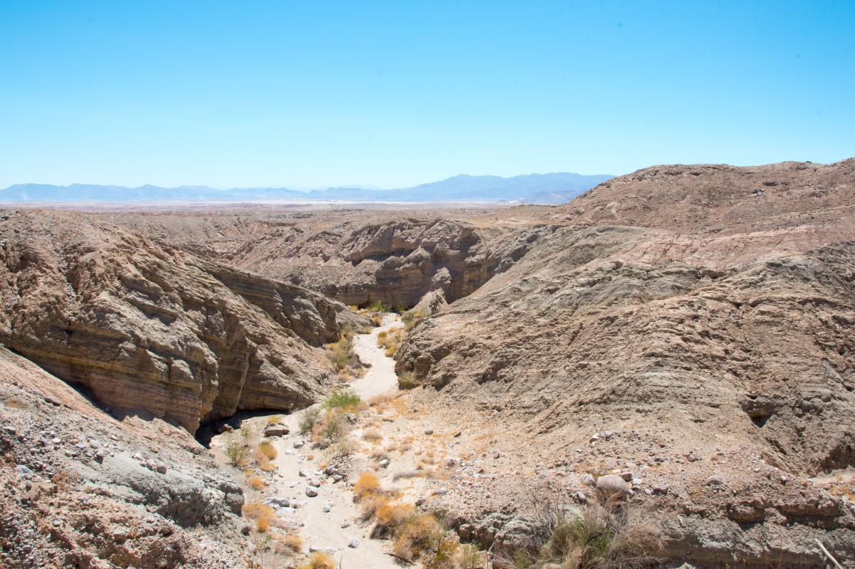 Anza-Borrego Trail