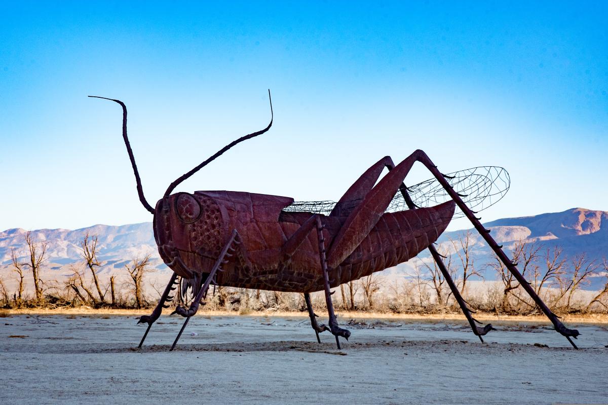 Borrego Springs Cricket Sculpture