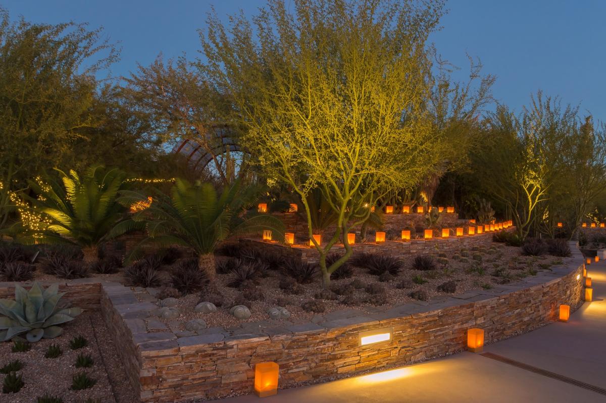 Las Noches de las Luminarias at Desert Botanical Garden