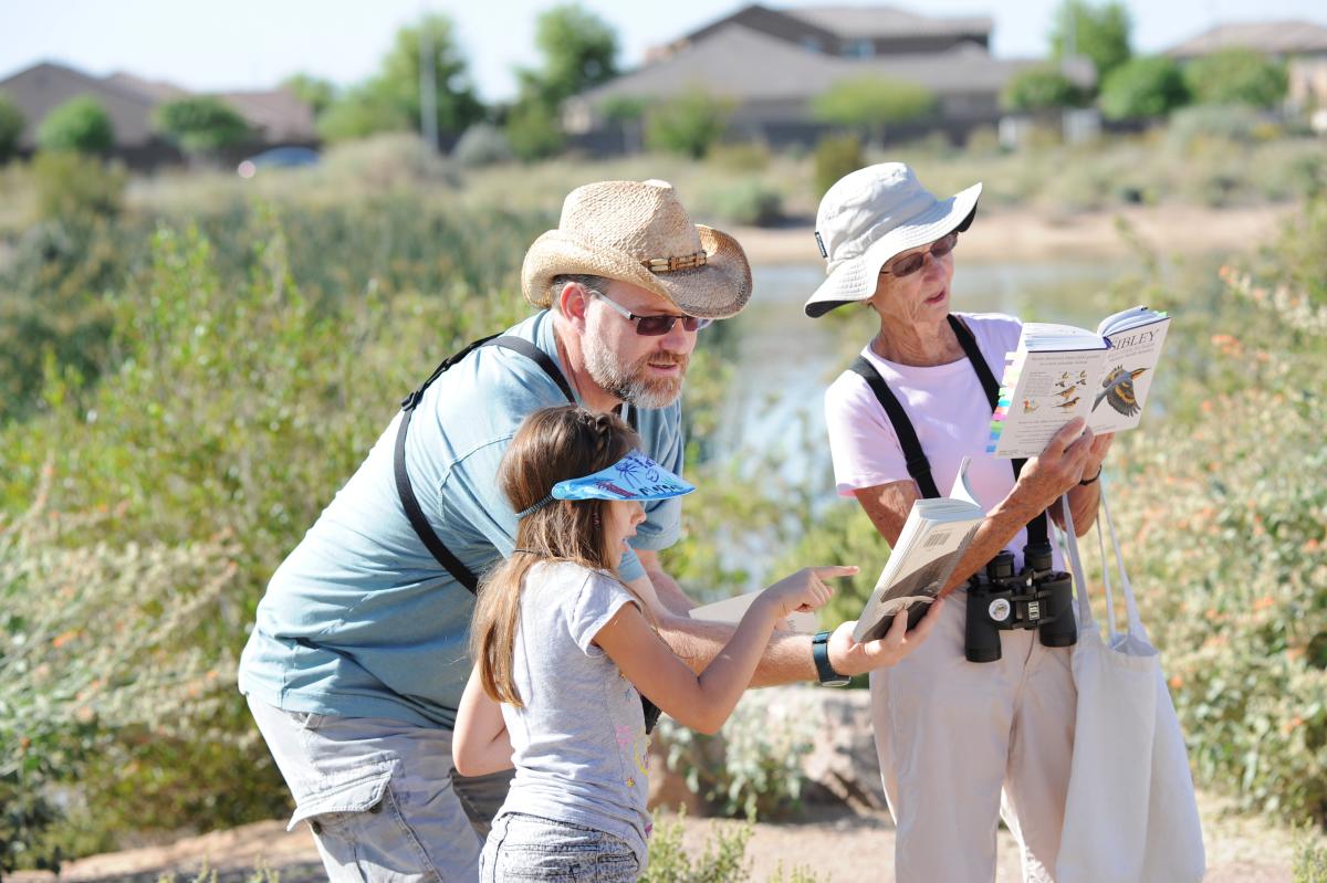 Guided Bird Walks at Veterans Oasis Park