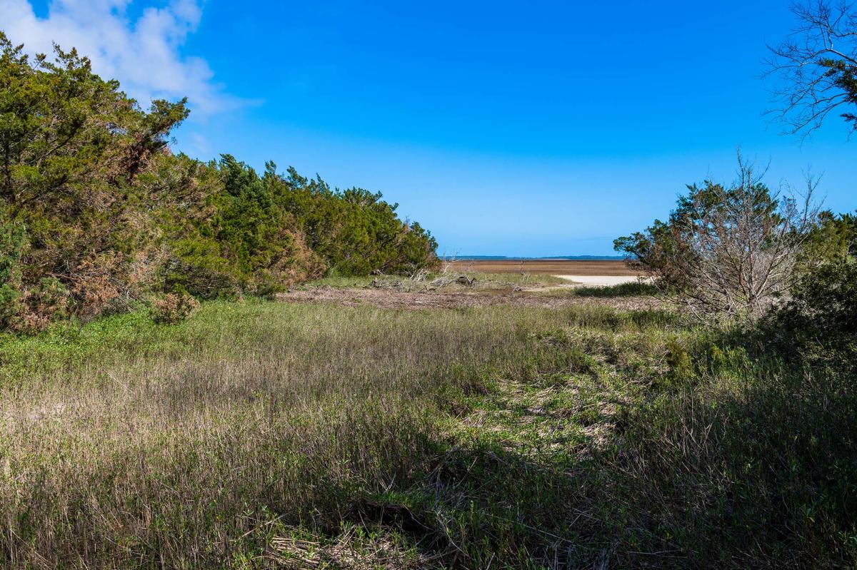 A view of the Earth Day Nature Trail landscape in Brunswick, GA