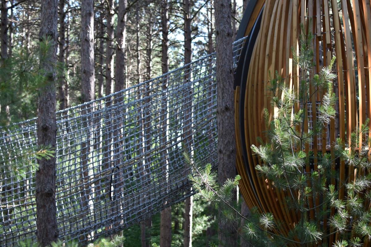 Explore The Nation S Longest Canopy Walk In Midland Michigan