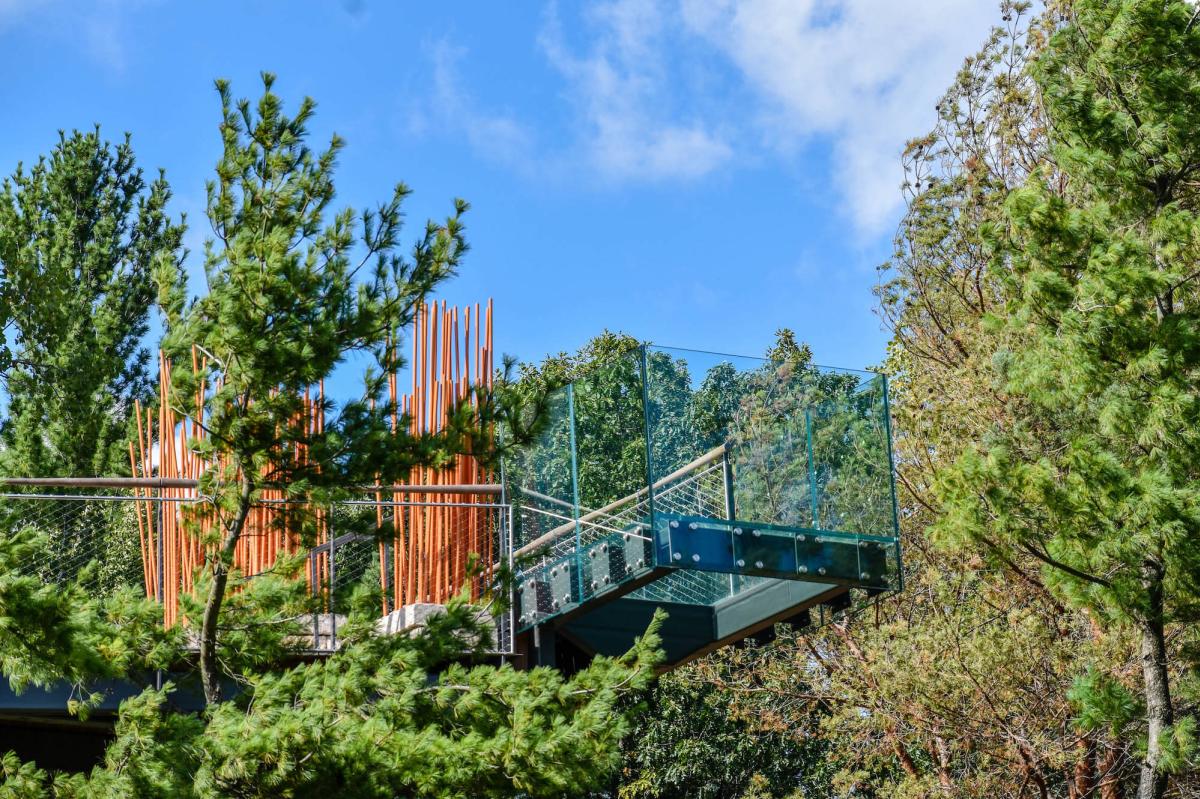 Explore The Nation S Longest Canopy Walk In Midland Michigan