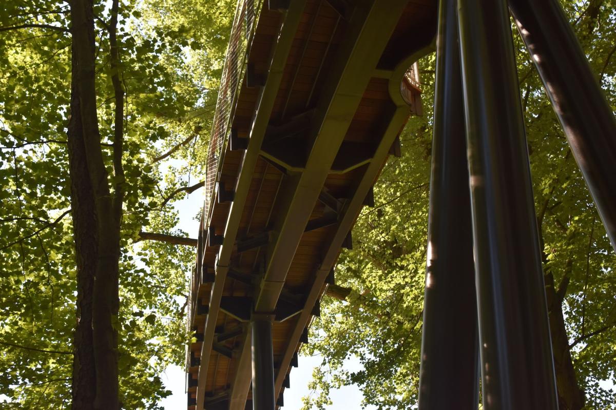 Explore The Nations Longest Canopy Walk In Midland Michigan - 
