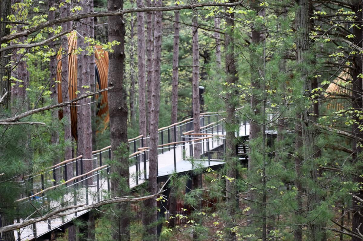 Explore The Nation S Longest Canopy Walk In Midland Michigan