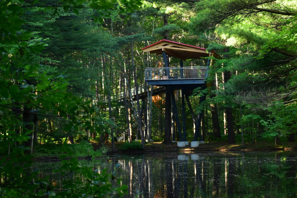 Explore The Nation S Longest Canopy Walk In Midland Michigan