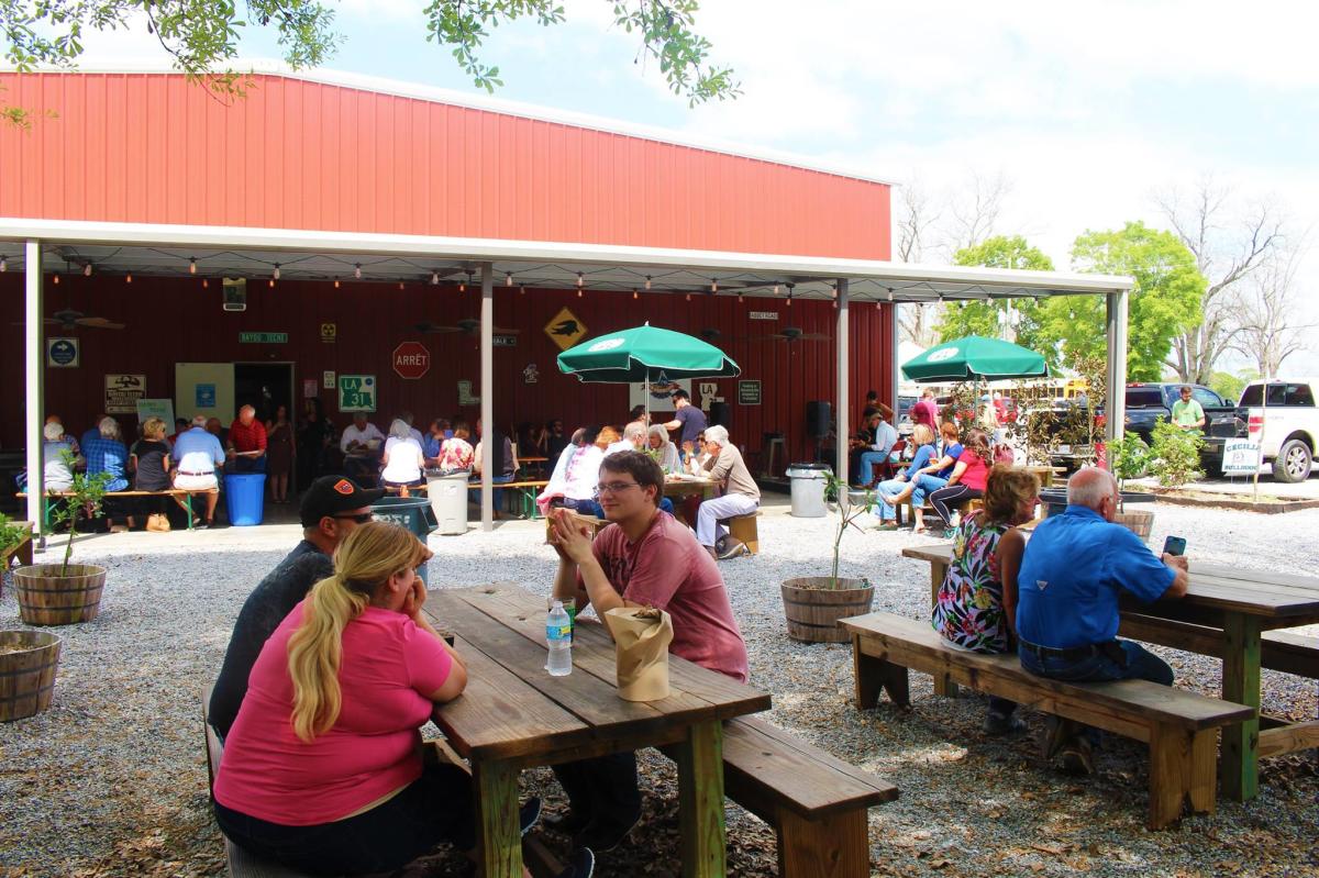 Bayou Teche Brewing