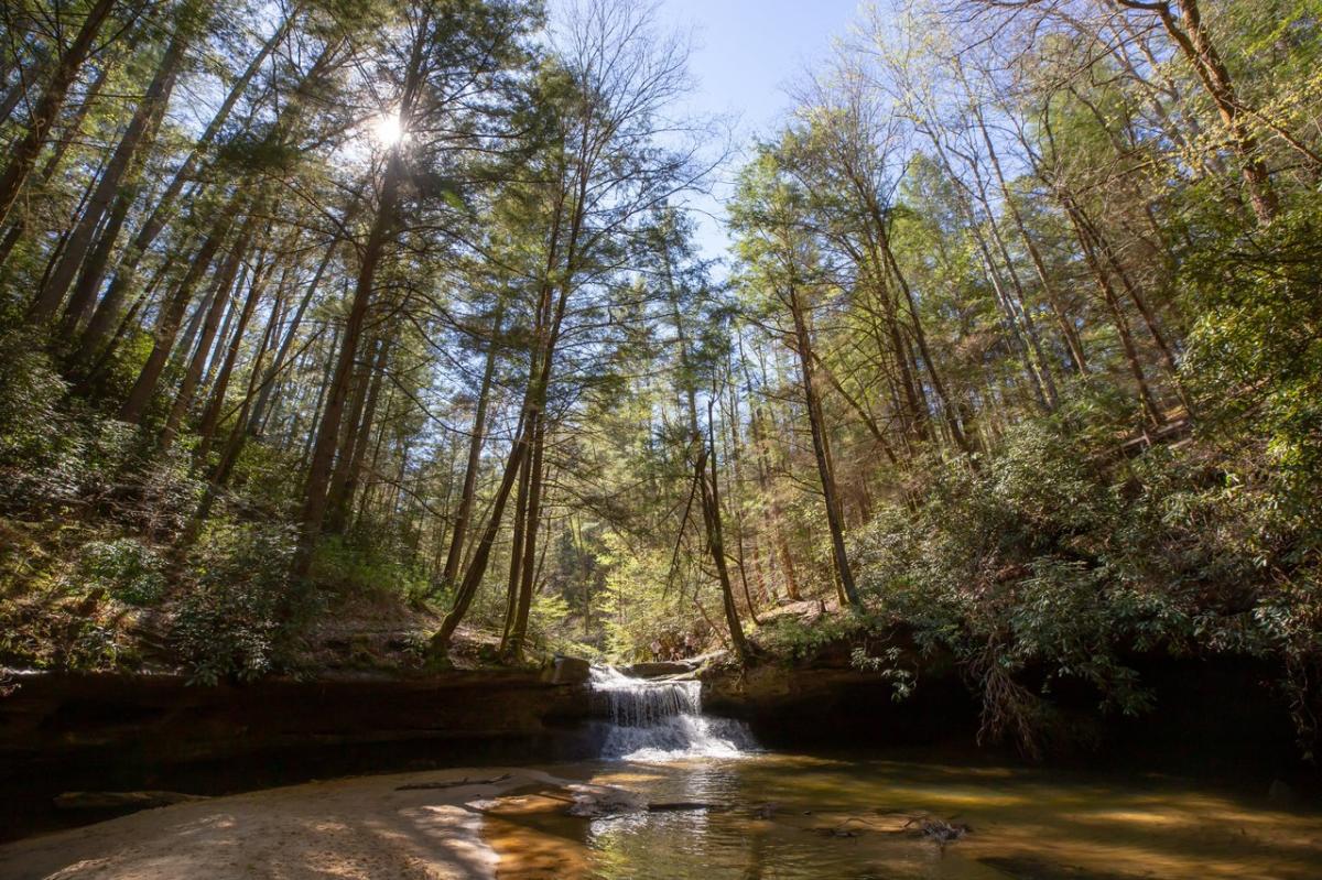 Red-River-Gorge---Spring-medium