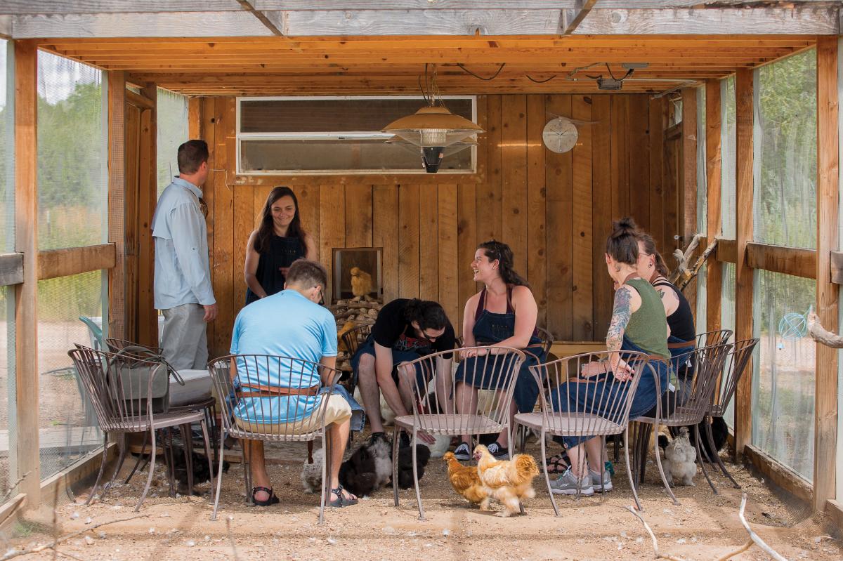 Resort guests gather in a coop for a new kind of cure-all: A silkie cuddle a day keeps the doctor away.