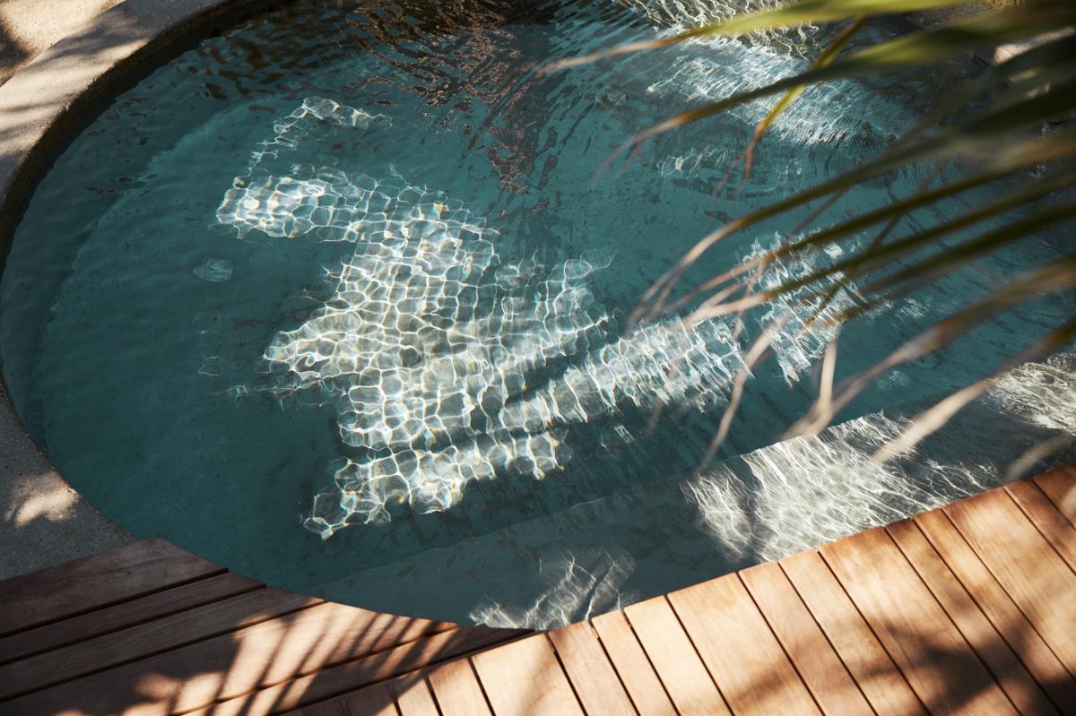 Palm fronds over a pool