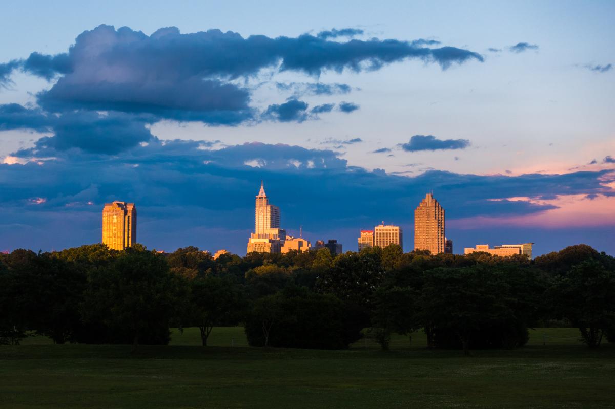 Dorothea Dix Park