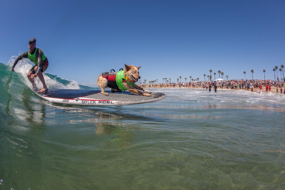 Huntington Dog Beach