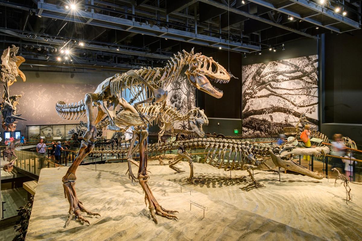 Natural History Museum Of Utah Discount Code