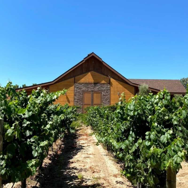 Longshadow Ranch Vineyards & Winery