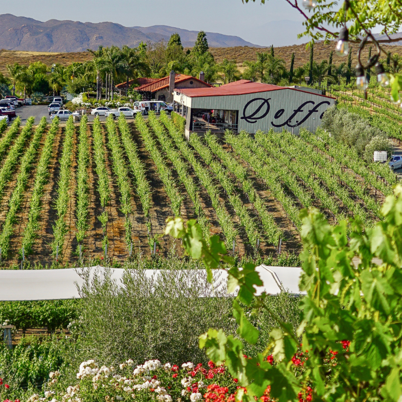 Doffo Winery