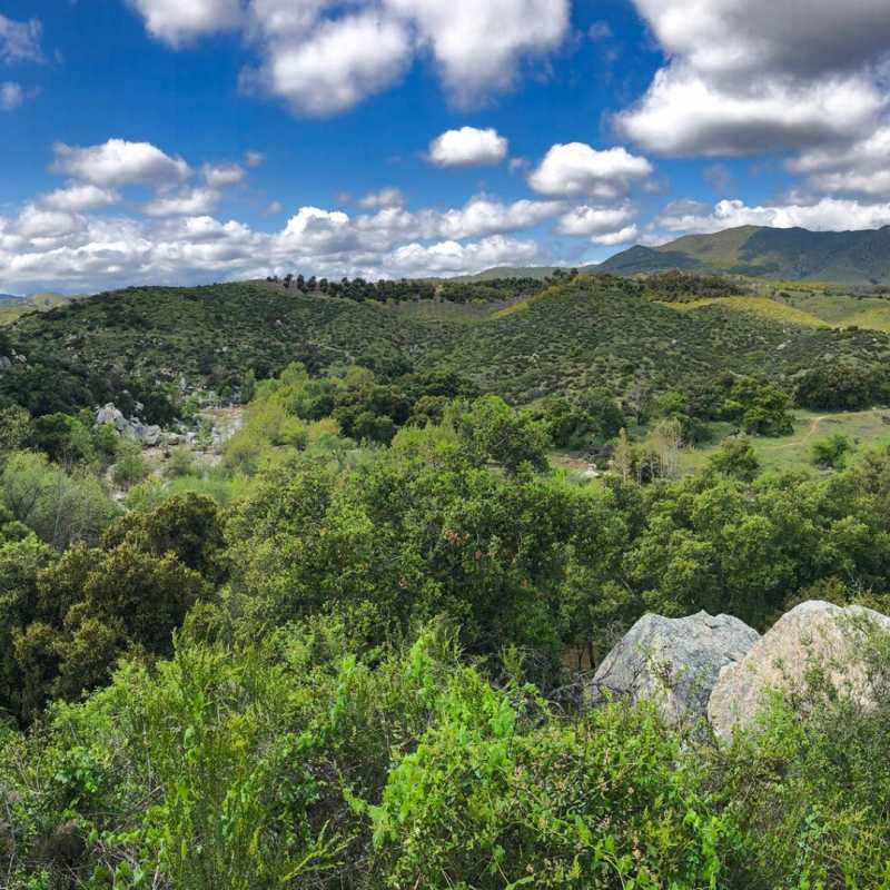 Santa Margarita Trail Preserve
