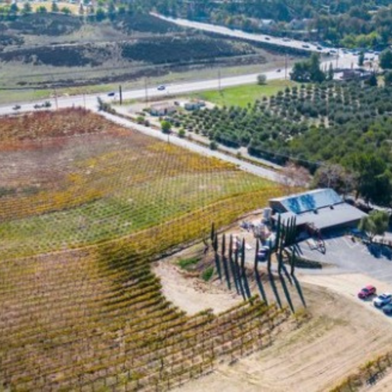 Halter Ranch Vineyards