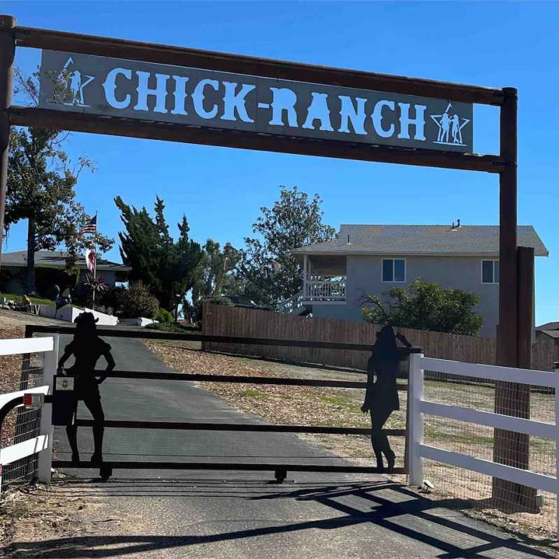Chick-Ranch