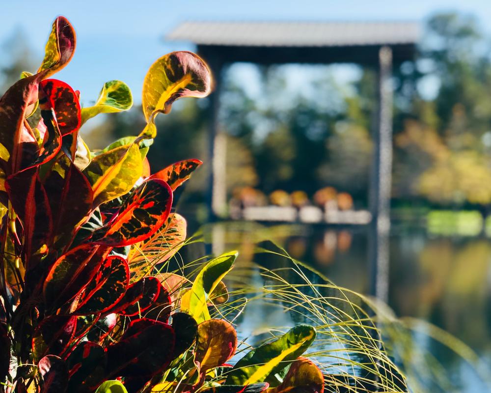 Shangri La Botanic Gardens