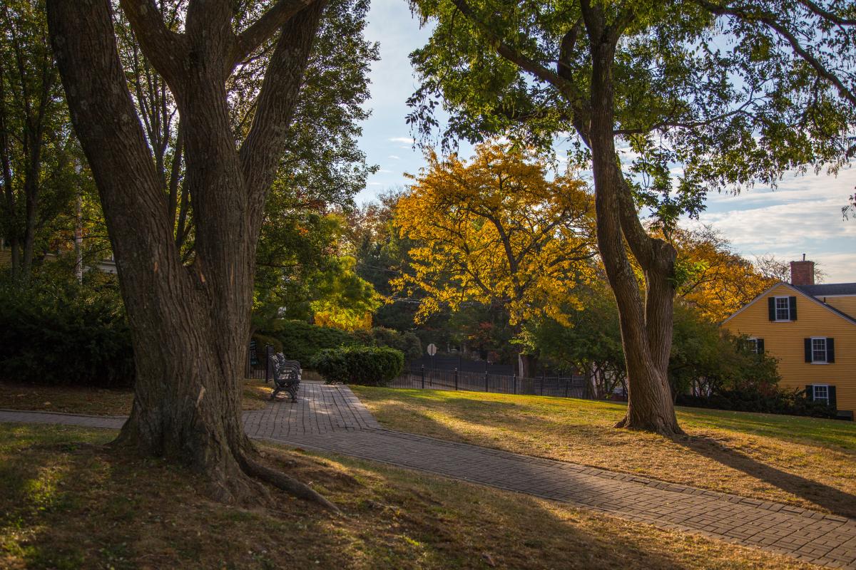 Prospect Terrace Fall