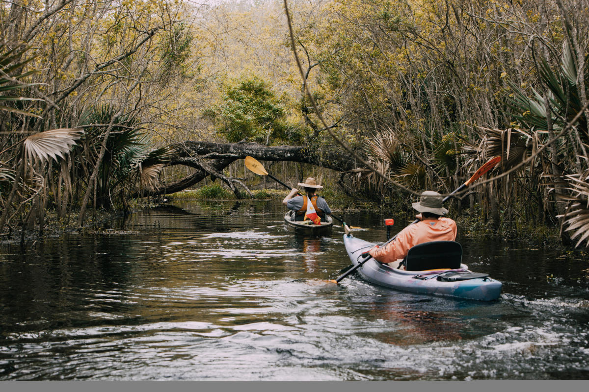Bayou Vermilion Excursion kayakers paddling