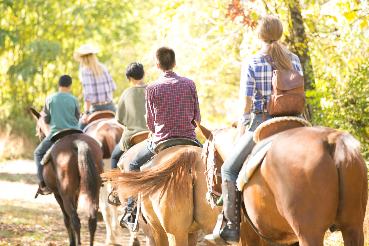 Saddle up for a scenic fall foliage horseback ride