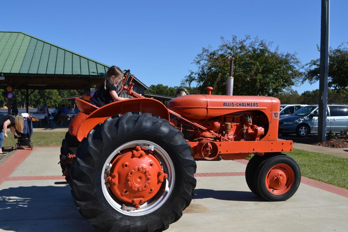 Tractor at Lane Southern Orchard