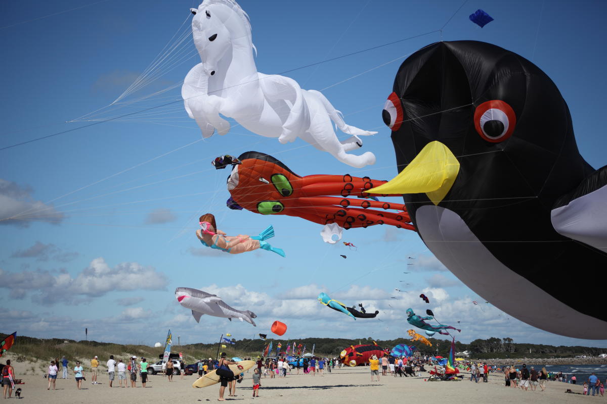 Kite Festival 2015