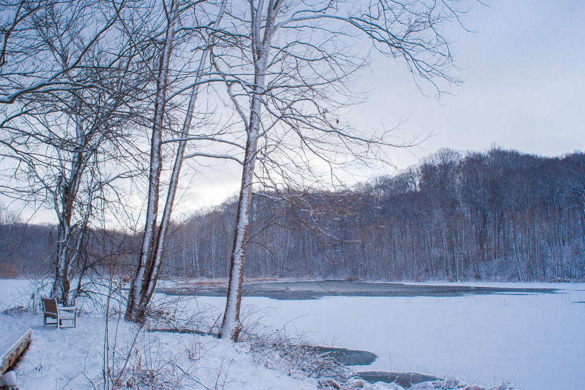 5 Spots To Get Your Hiking Fix In The Winter