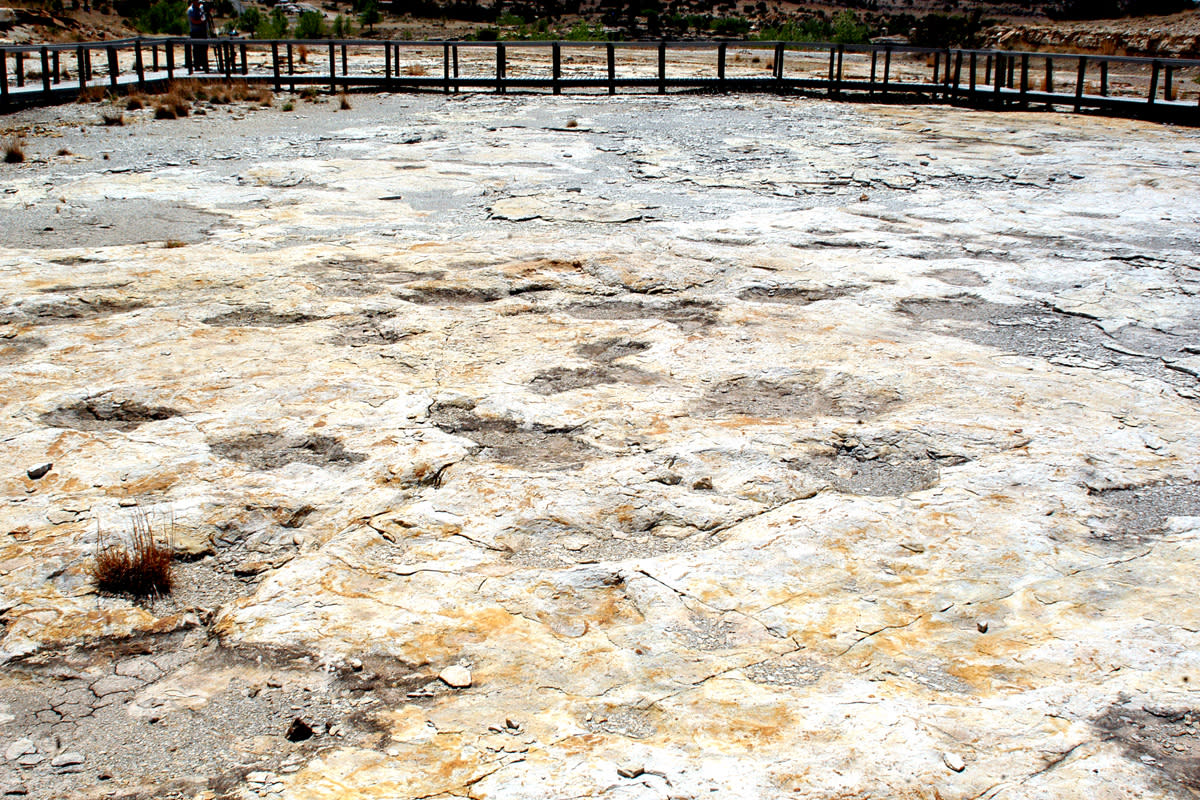 Dinosaur Trackways at Clayton Lake State Park