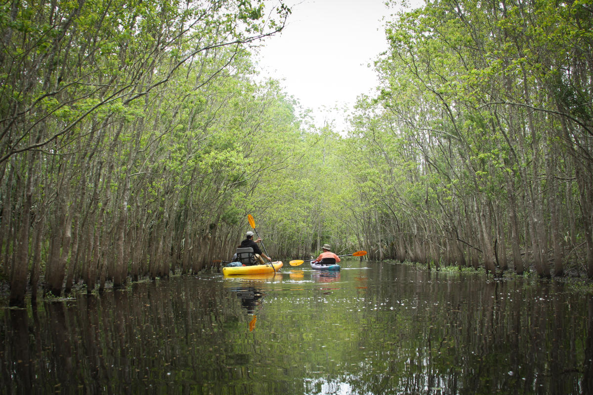 Paddlers during the Bayou Vermilion Excursion in Lafayette