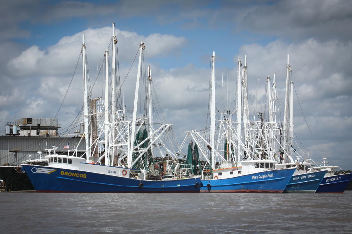 Bayou Vermilion Excursion
