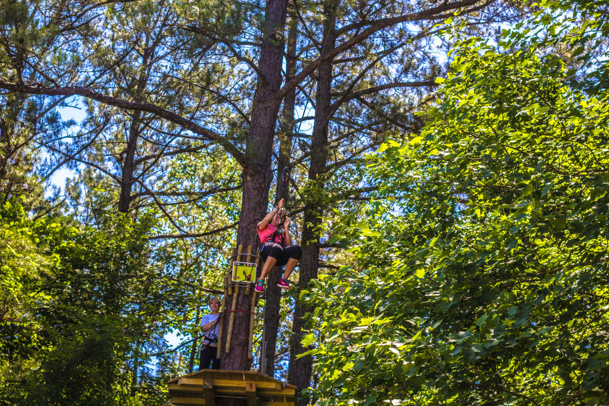 Go Ape 02-225.jpg