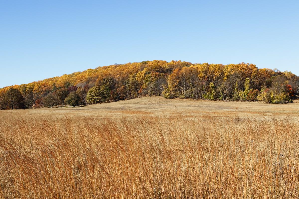 Mount Joy in Fall