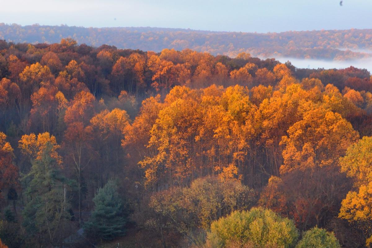 Montgomery County from a Hot Air Balloon