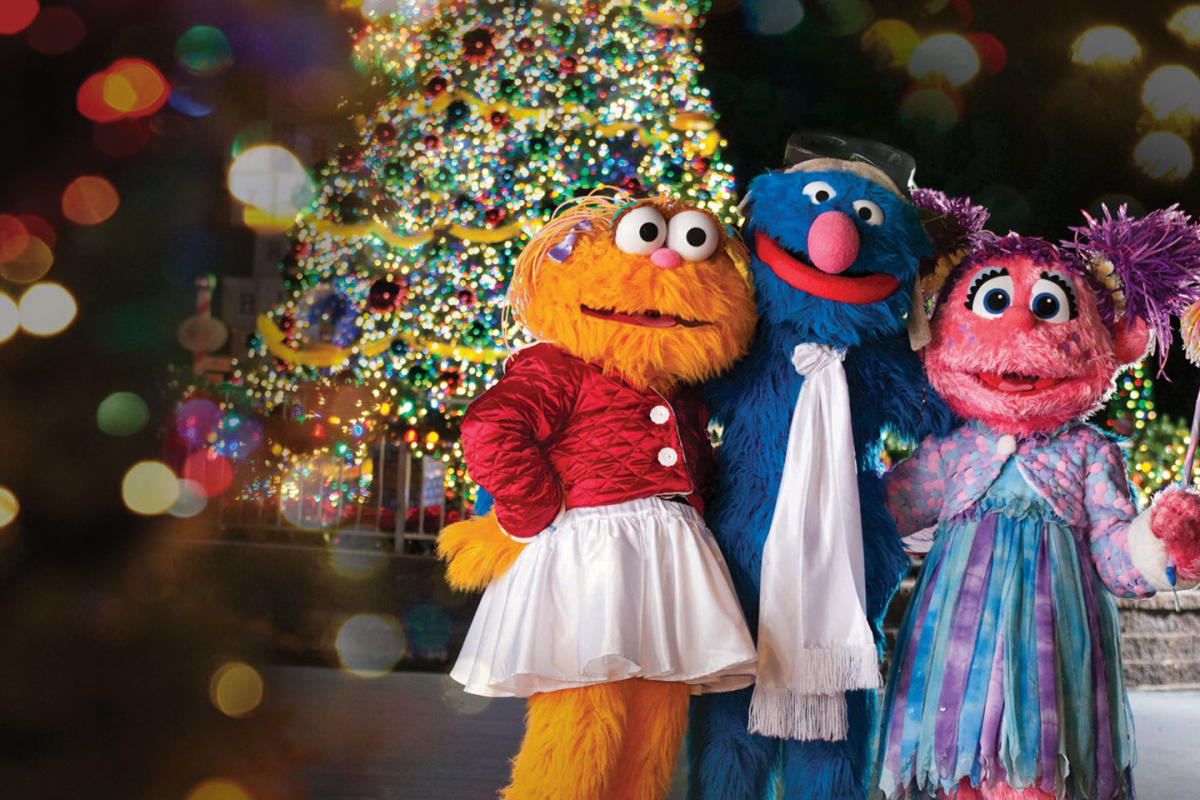 Then, at the end of each November, Sesame Place transforms into a one-of-a-kind Christmas wonderland with millions of twinkling lights and festive decorations during A Very Furry Christmas. See special Christmas shows and visit with Santa in his workshop!