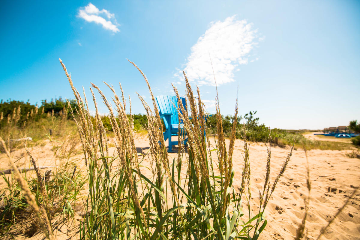 11 Free (or Almost Free) Things to Do in Virginia Beach