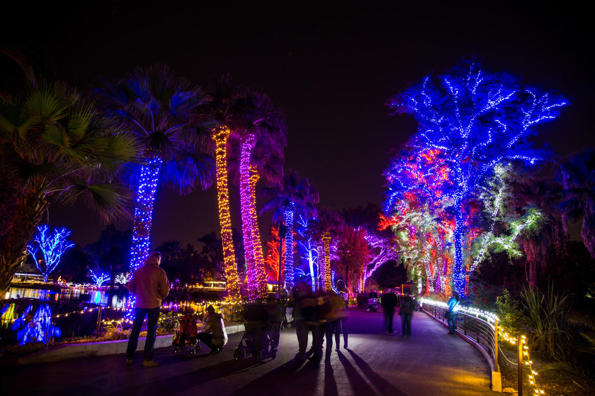 ZooLights at the Phoenix Zoo