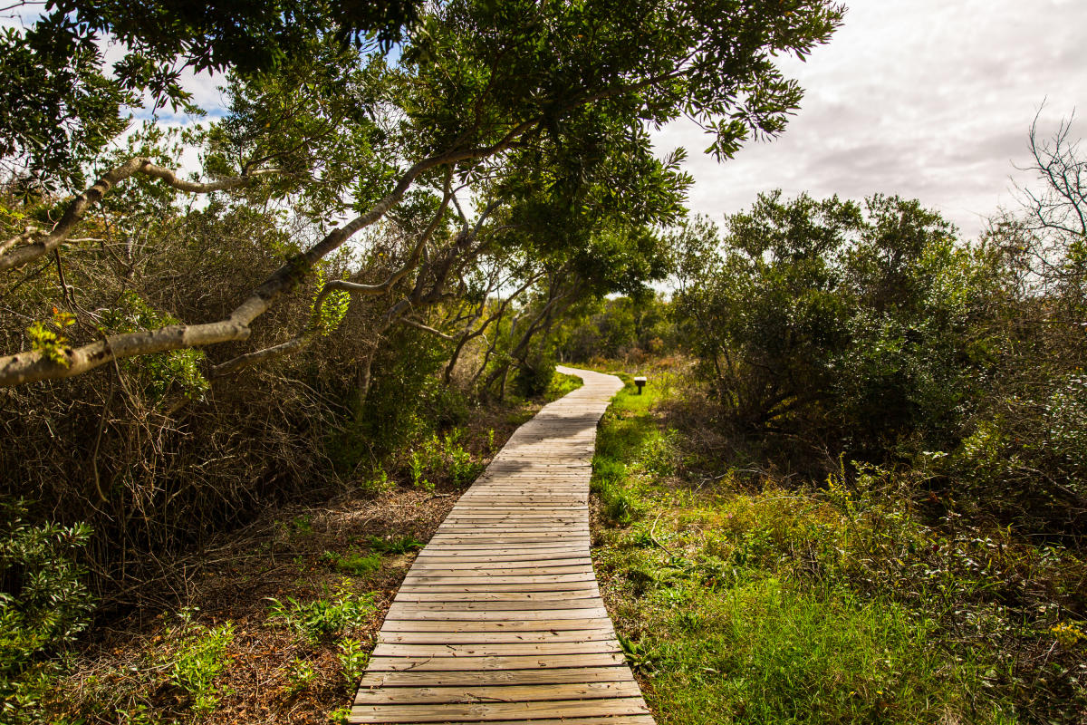 Outdoors - Parks - Back Bay National Wildlife Refuge - 0U7A9001 copy.jpg