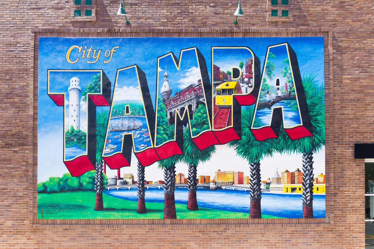 Go On A Selfie Safari In Tampa Bay