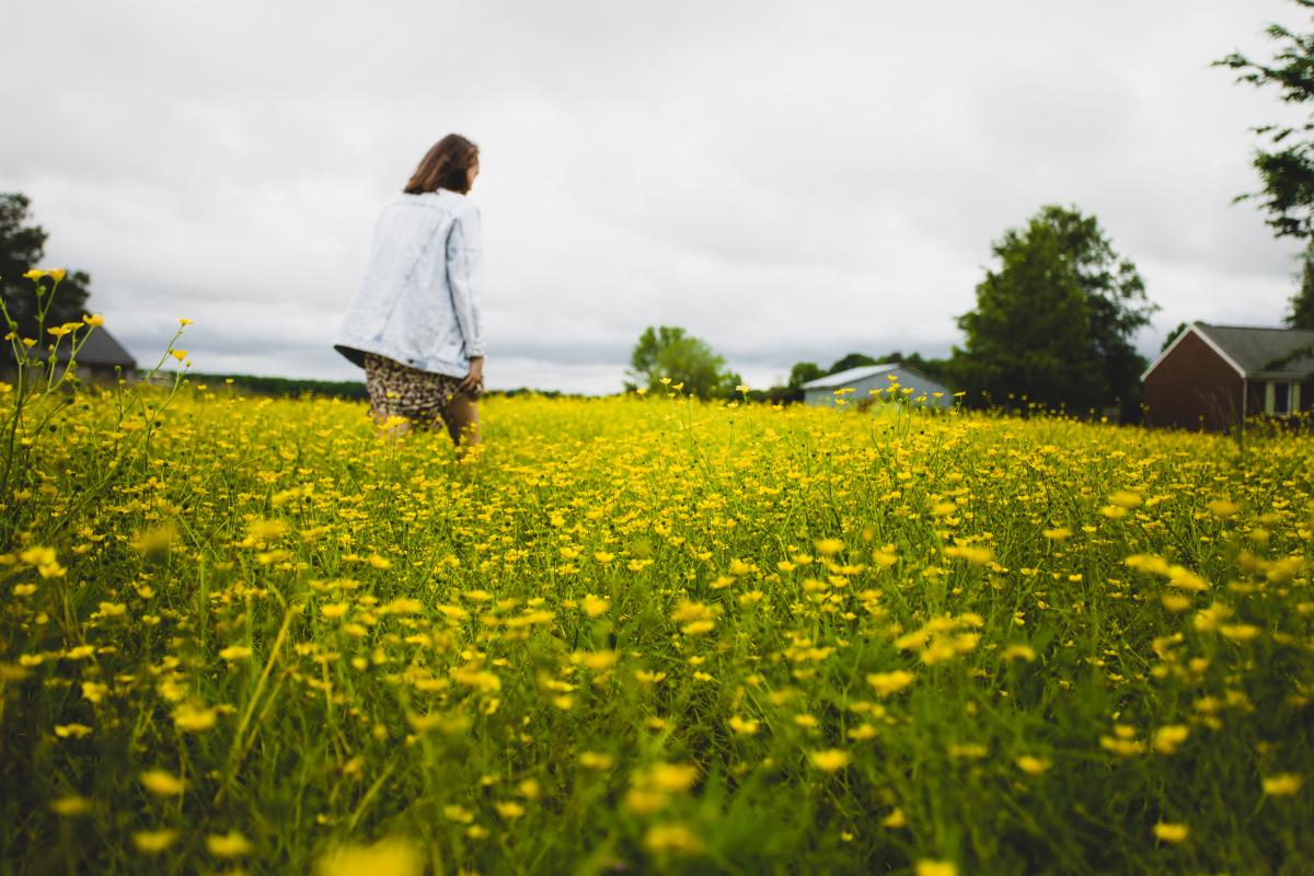 Picking Wildflowers in Pungo