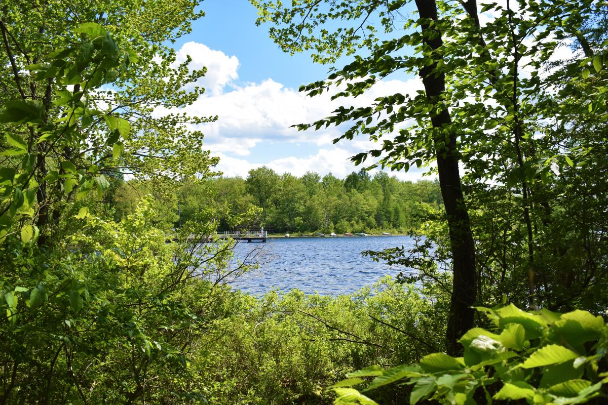 Take in the Pocono Scenery at Tobyhanna State Park