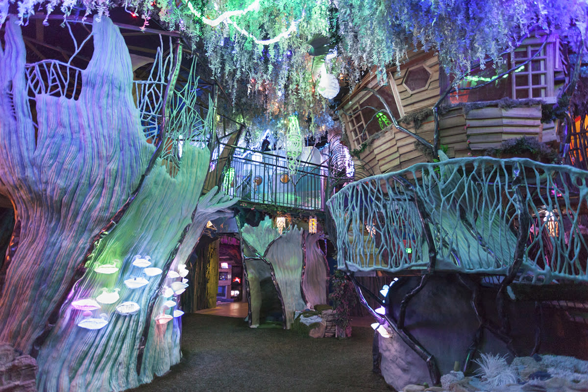 Meow Wolf; The House