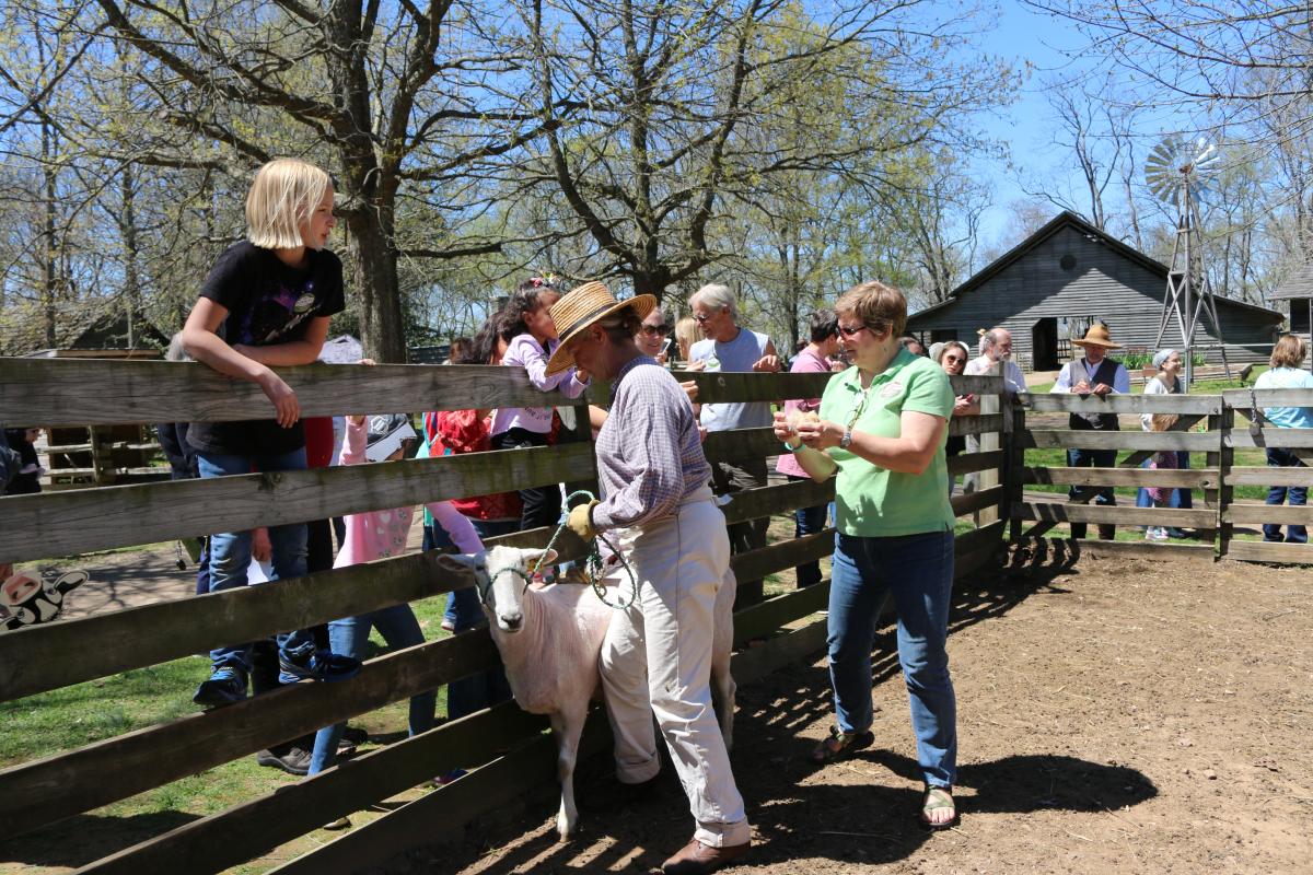 Children climb on a wooden fence to look over at a goat being led by a woman in a straw hat at Burritt on the Mountain