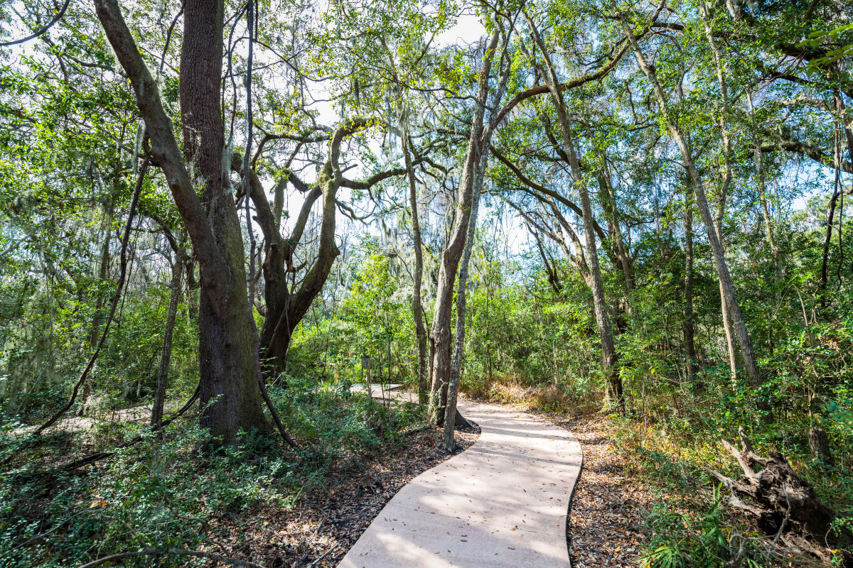 A shaded and paved pathway meanders through the Southeast Georgia Health System Trail on St. Simons Island, Georgia