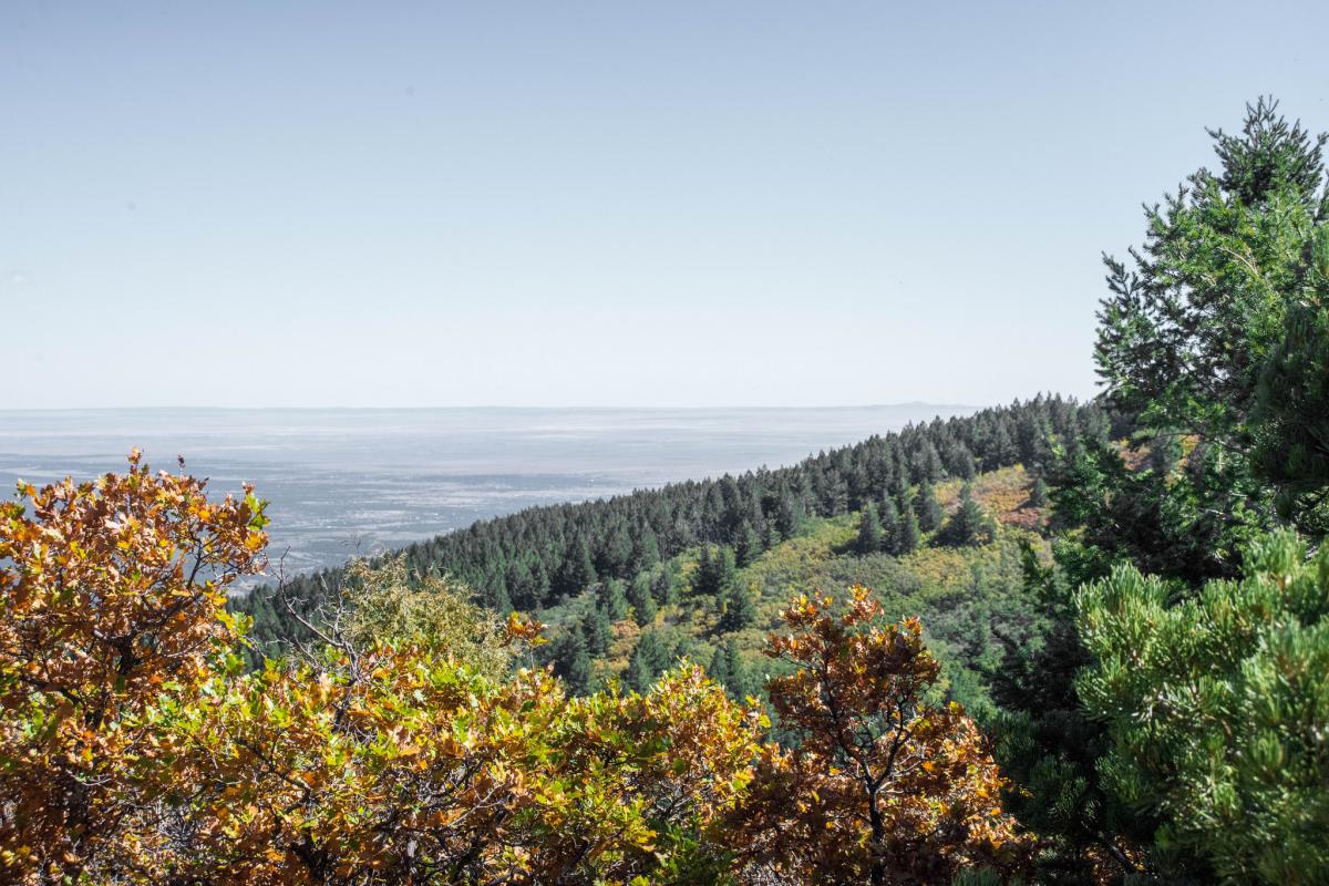 Cibola Wilderness