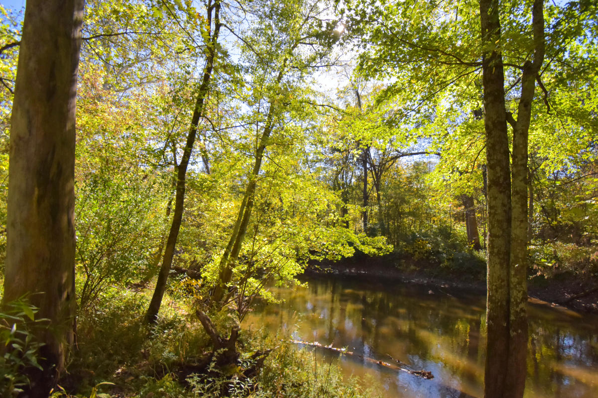 Tom and Jane Dustin Nature Preserve in Fort Wayne, Indiana