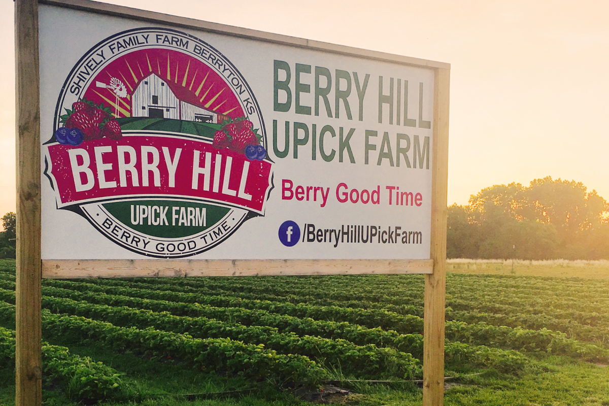 Berry_Hill_UPick_Farm