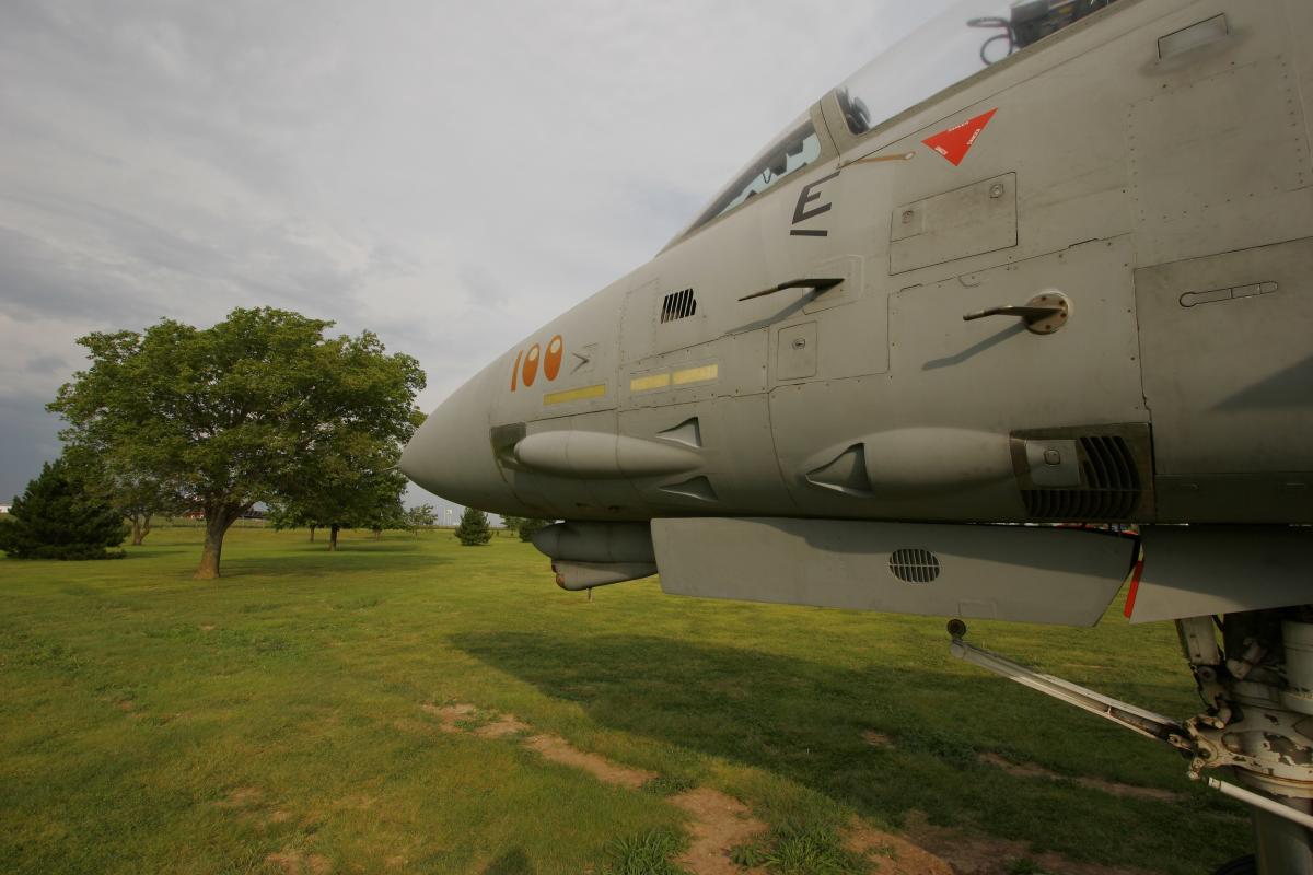 F-14 Tomcat Fighter Jet